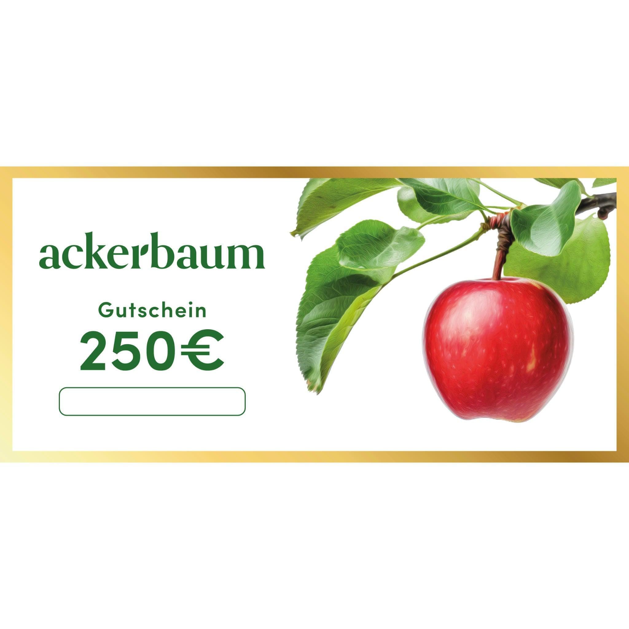 ackerbaum ackerbaum 250€ Weihnachtsgutschein - Edler Papiergutschein mit Goldrand kaufen