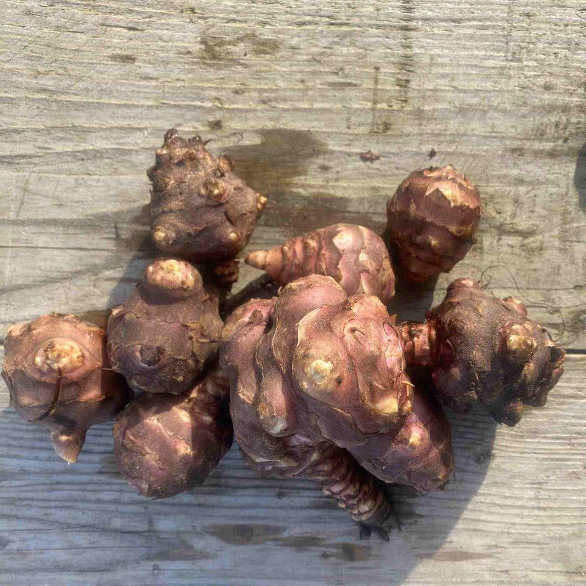 ackerbaum Topinambur - Patate kaufen